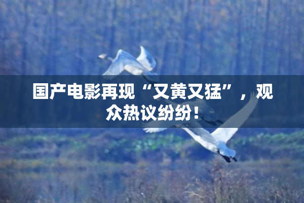 国产电影再现“又黄又猛”，观众热议纷纷！
