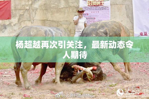 杨超越再次引关注，最新动态令人期待