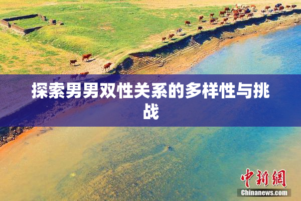 探索男男双性关系的多样性与挑战