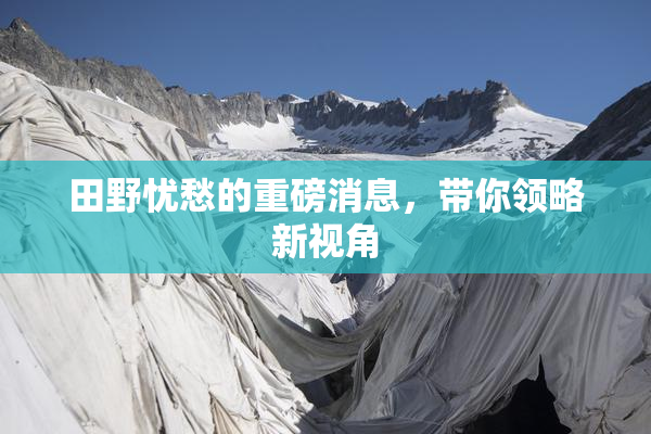 田野忧愁的重磅消息，带你领略新视角
