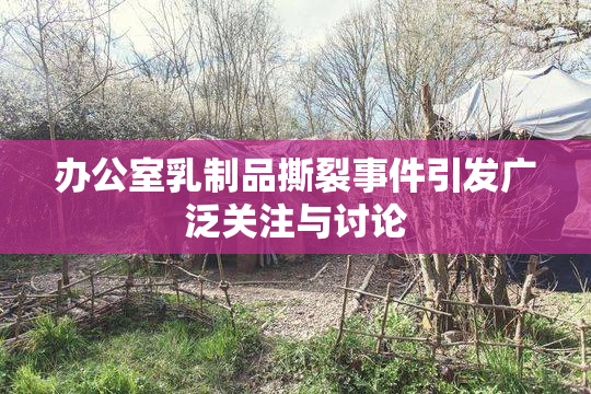 办公室乳制品撕裂事件引发广泛关注与讨论