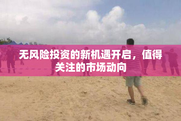 无风险投资的新机遇开启，值得关注的市场动向