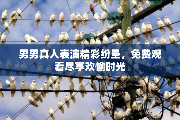 男男真人表演精彩纷呈，免费观看尽享欢愉时光