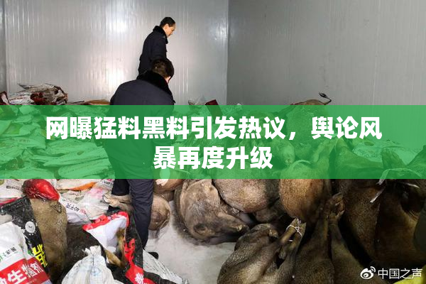 网曝猛料黑料引发热议，舆论风暴再度升级