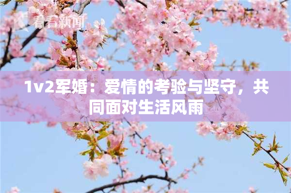 1v2军婚：爱情的考验与坚守，共同面对生活风雨