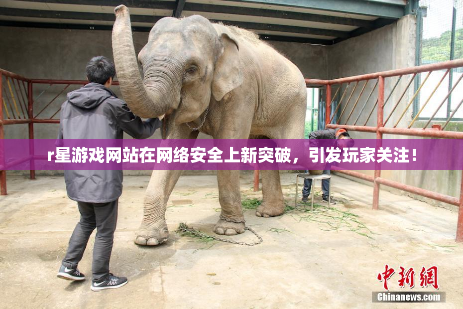 r星游戏网站在网络安全上新突破，引发玩家关注！