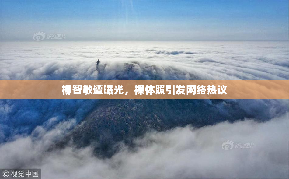 柳智敏遭曝光，裸体照引发网络热议