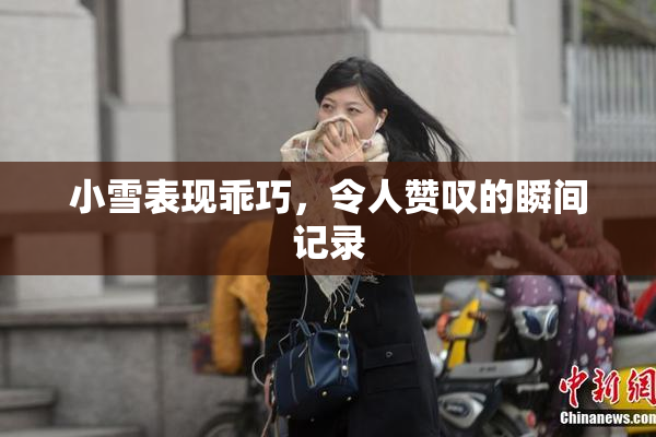 小雪表现乖巧，令人赞叹的瞬间记录