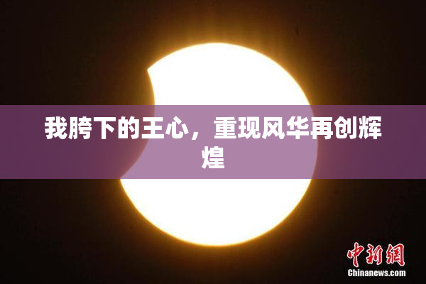 我胯下的王心，重现风华再创辉煌