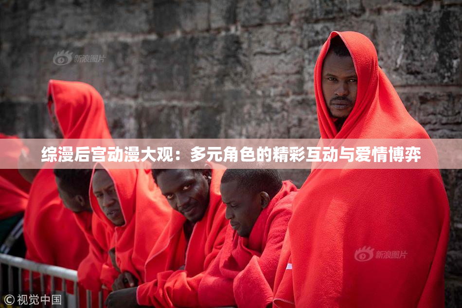 综漫后宫动漫大观：多元角色的精彩互动与爱情博弈