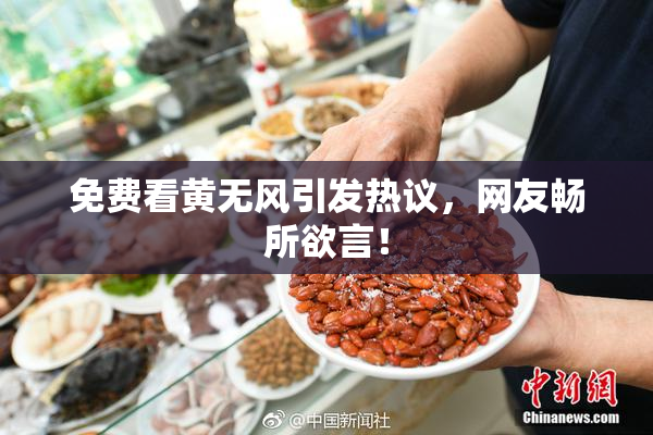 免费看黄无风引发热议，网友畅所欲言！