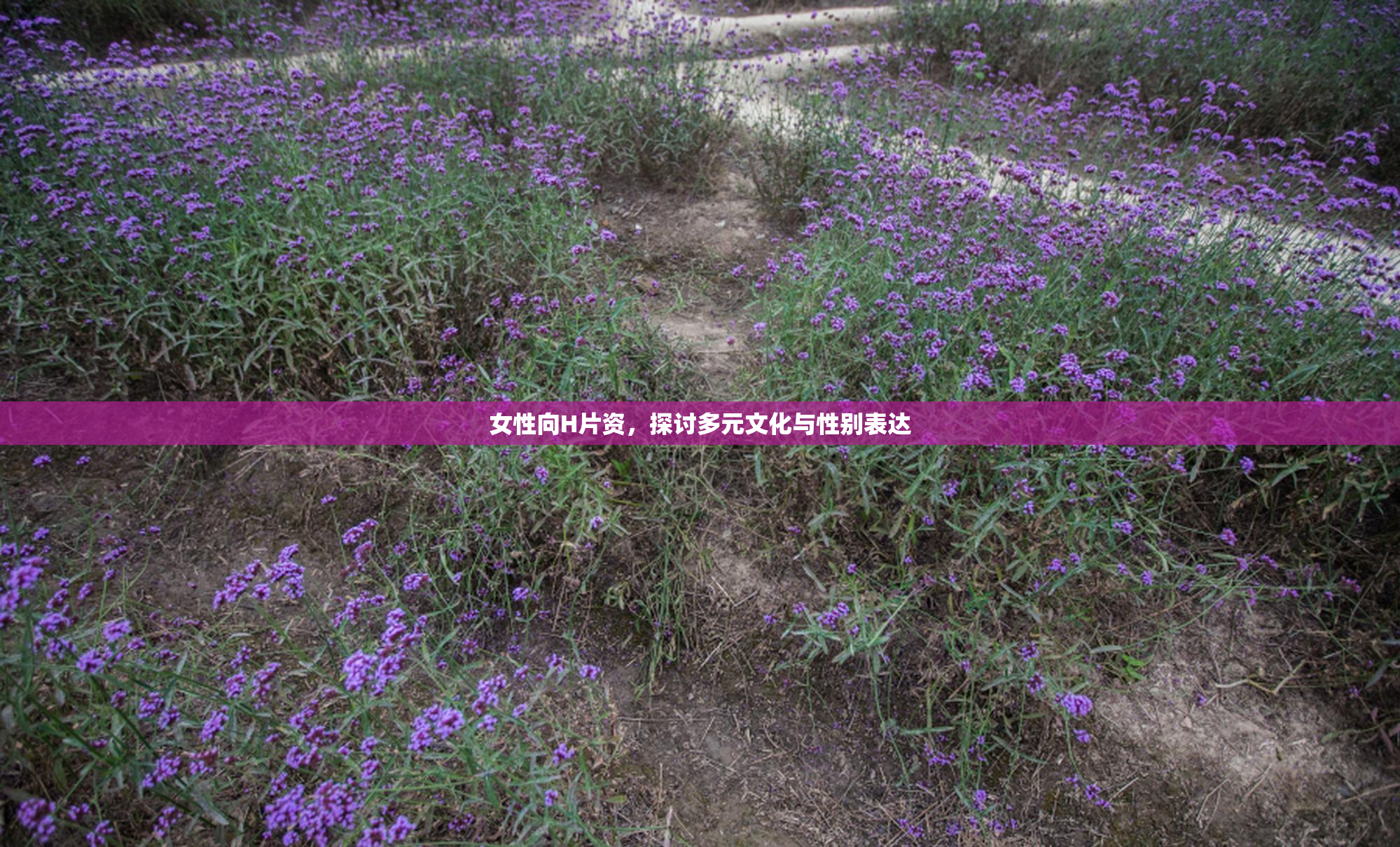 女性向H片资，探讨多元文化与性别表达