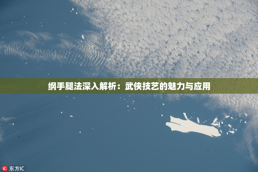 纲手腿法深入解析：武侠技艺的魅力与应用