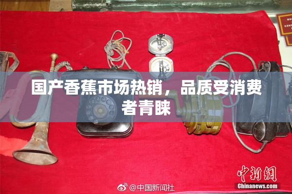 国产香蕉市场热销，品质受消费者青睐