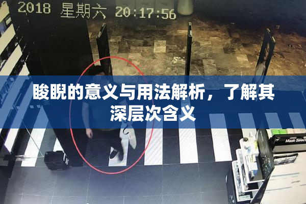 睃睨的意义与用法解析，了解其深层次含义