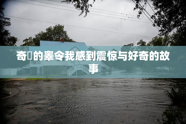 奇犽的睾令我感到震惊与好奇的故事