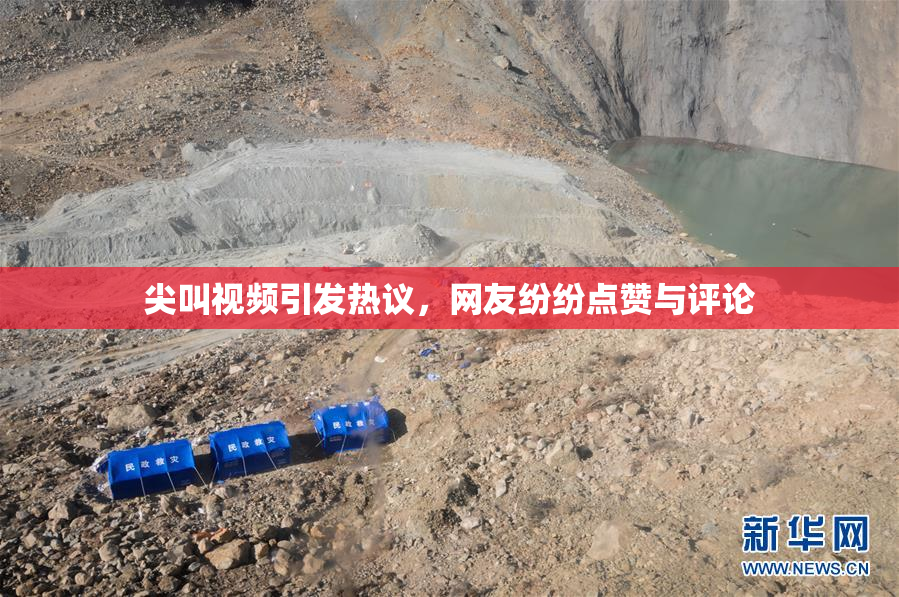 尖叫视频引发热议，网友纷纷点赞与评论