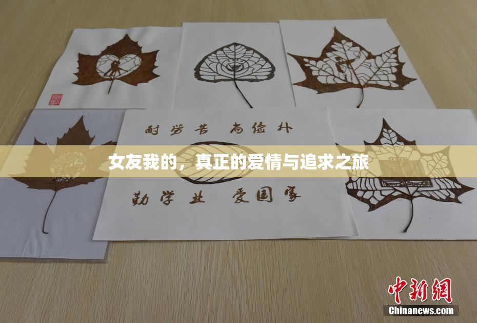女友我的，真正的爱情与追求之旅