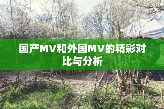国产MV和外国MV的精彩对比与分析
