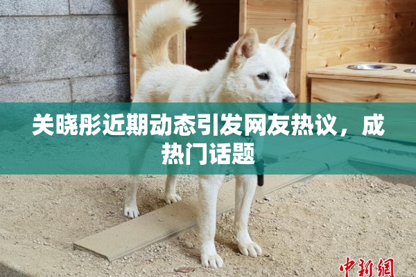 关晓彤近期动态引发网友热议，成热门话题
