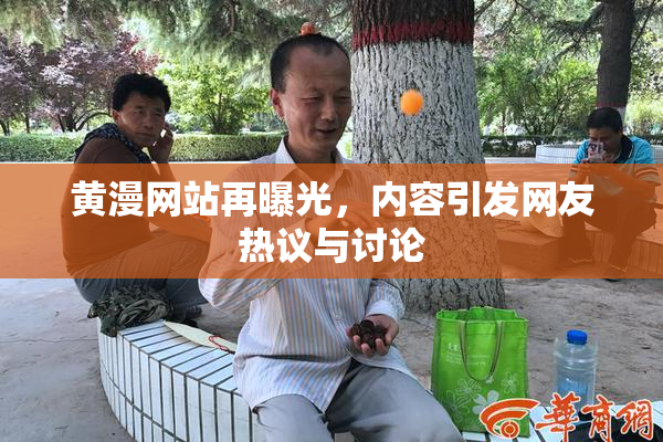 黄漫网站再曝光，内容引发网友热议与讨论