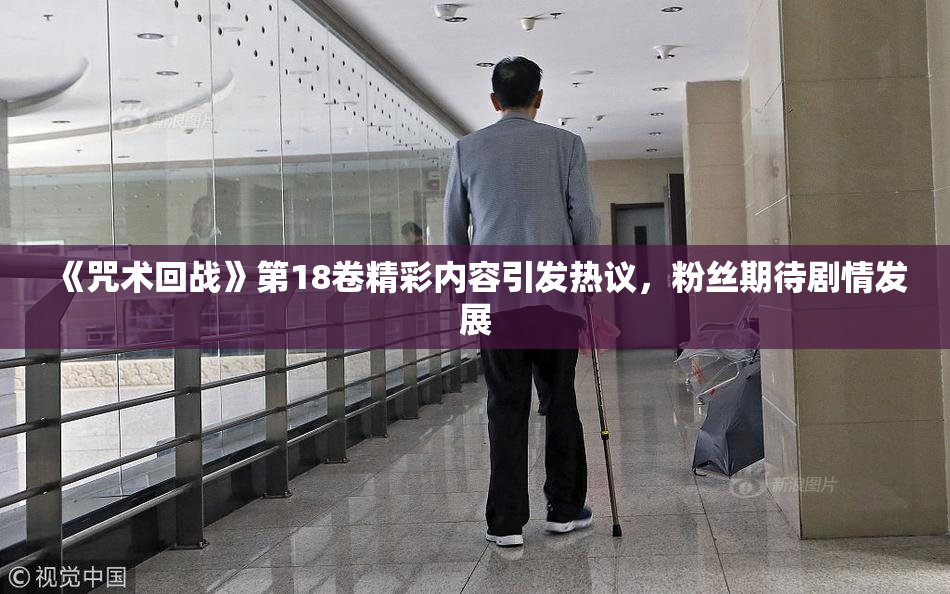 《咒术回战》第18卷精彩内容引发热议，粉丝期待剧情发展