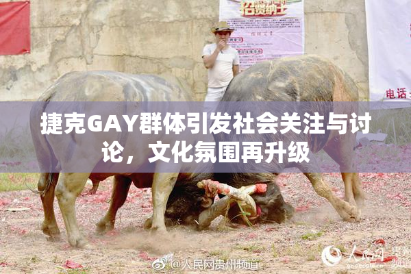 捷克GAY群体引发社会关注与讨论，文化氛围再升级