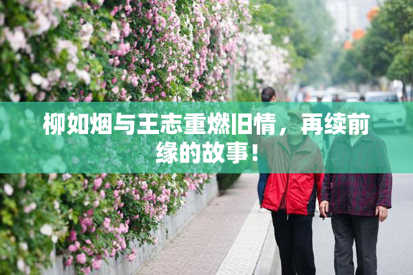 柳如烟与王志重燃旧情，再续前缘的故事！