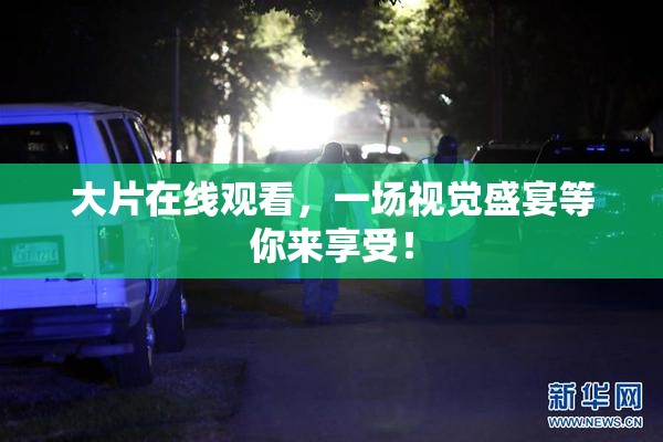 大片在线观看，一场视觉盛宴等你来享受！
