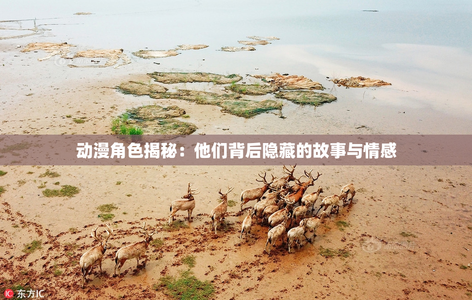 动漫角色揭秘：他们背后隐藏的故事与情感