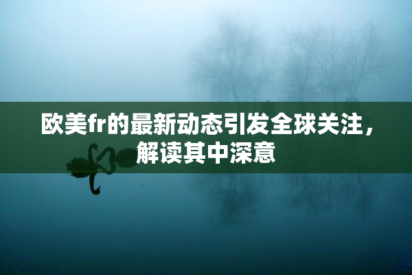 欧美fr的最新动态引发全球关注，解读其中深意