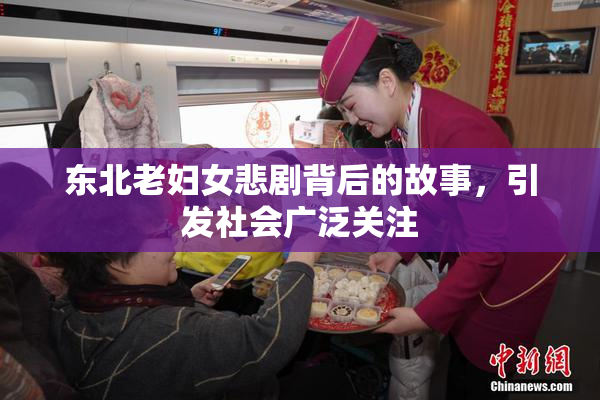 东北老妇女悲剧背后的故事，引发社会广泛关注