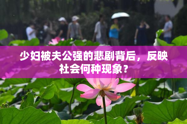 少妇被夫公强的悲剧背后，反映社会何种现象？