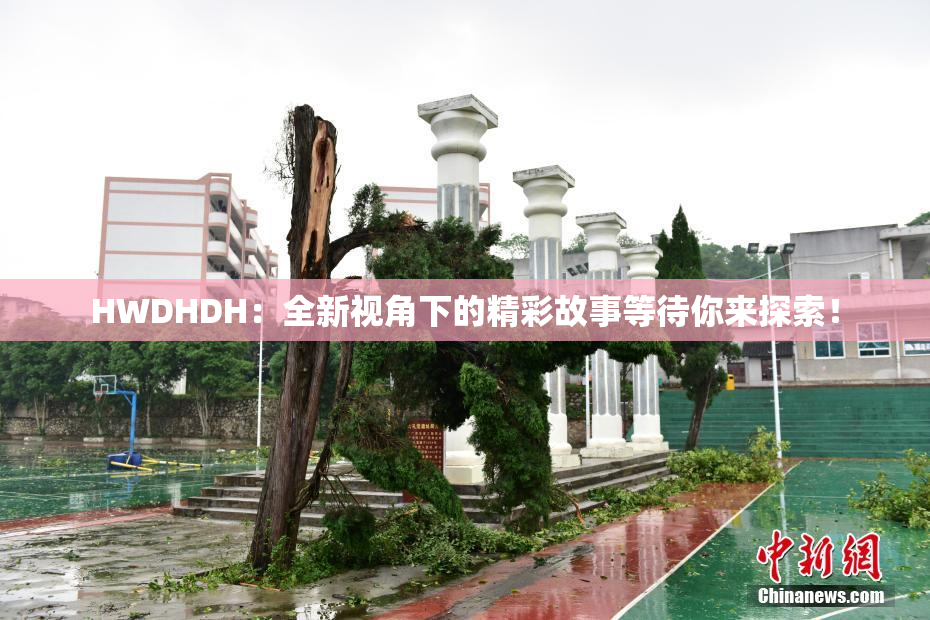HWDHDH：全新视角下的精彩故事等待你来探索！