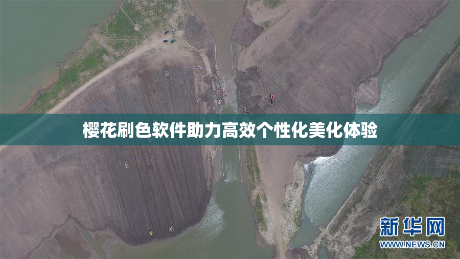 樱花刷色软件助力高效个性化美化体验