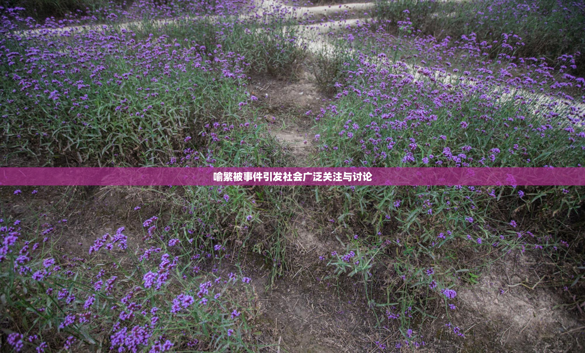 喻繁被事件引发社会广泛关注与讨论