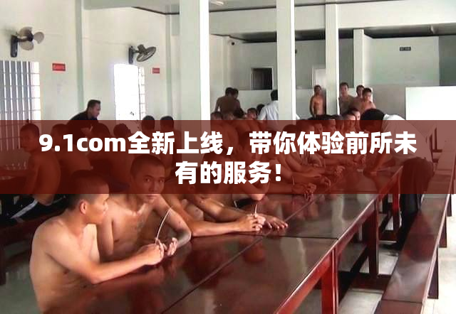 9.1com全新上线，带你体验前所未有的服务！