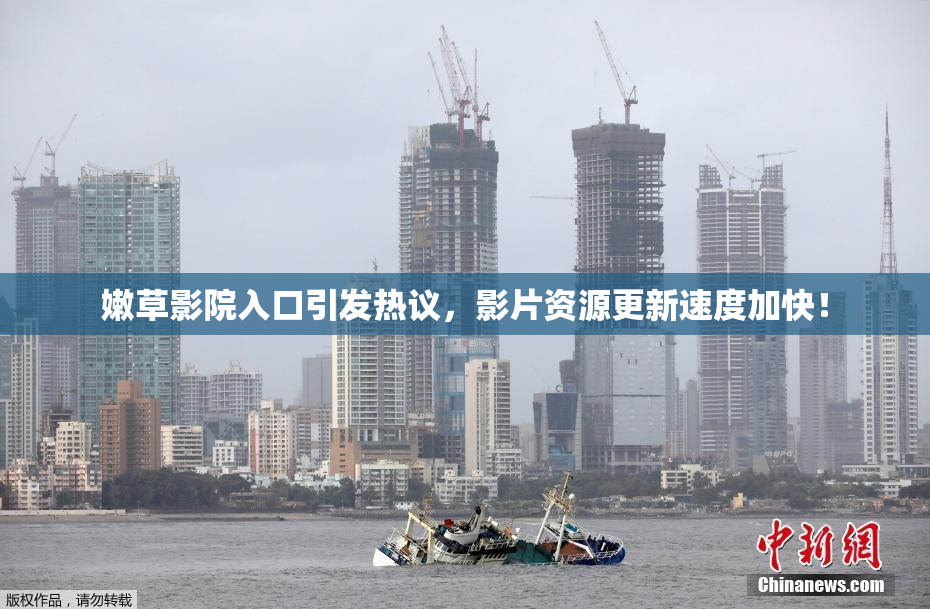 嫩草影院入口引发热议，影片资源更新速度加快！