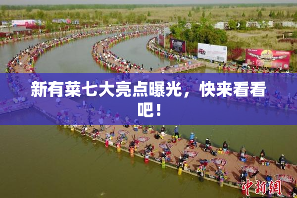 新有菜七大亮点曝光，快来看看吧！