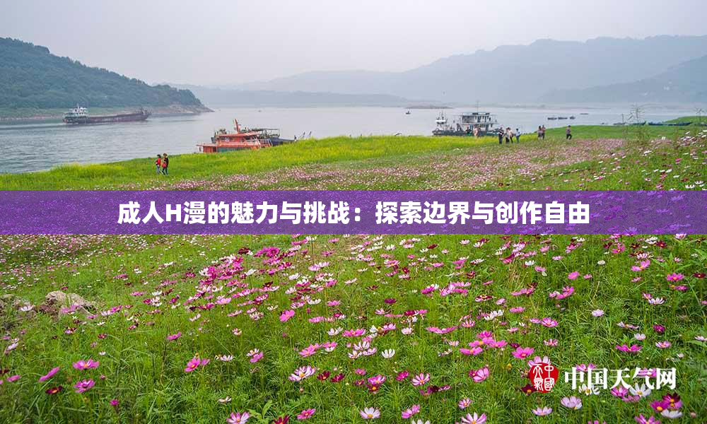 成人H漫的魅力与挑战：探索边界与创作自由