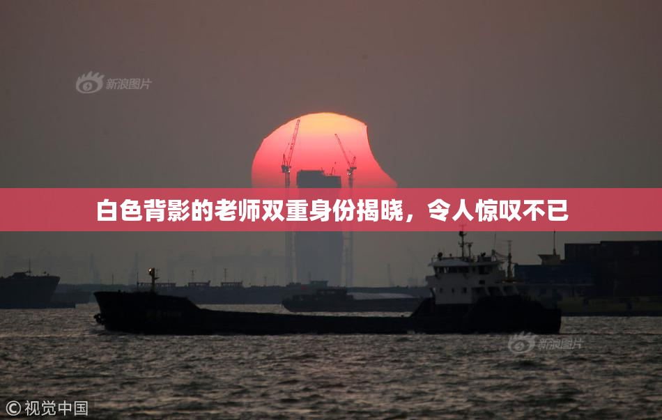 白色背影的老师双重身份揭晓，令人惊叹不已