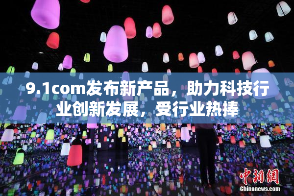 9.1com发布新产品，助力科技行业创新发展，受行业热捧