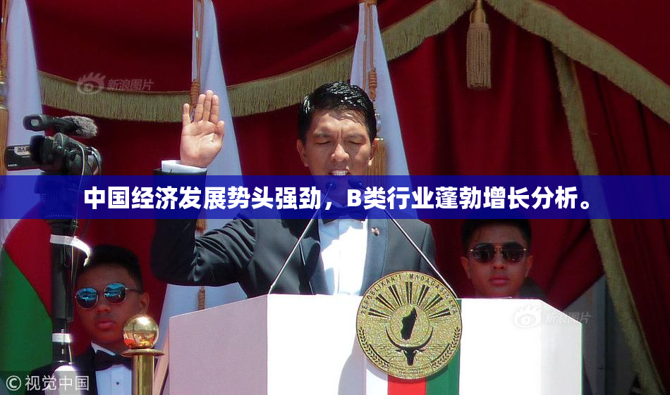 中国经济发展势头强劲，B类行业蓬勃增长分析。