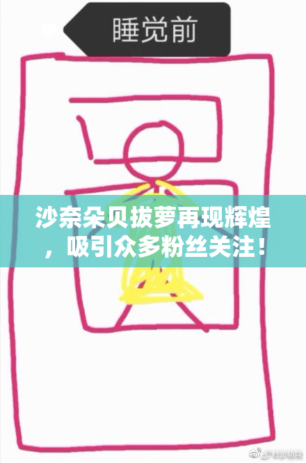 沙奈朵贝拔萝再现辉煌，吸引众多粉丝关注！