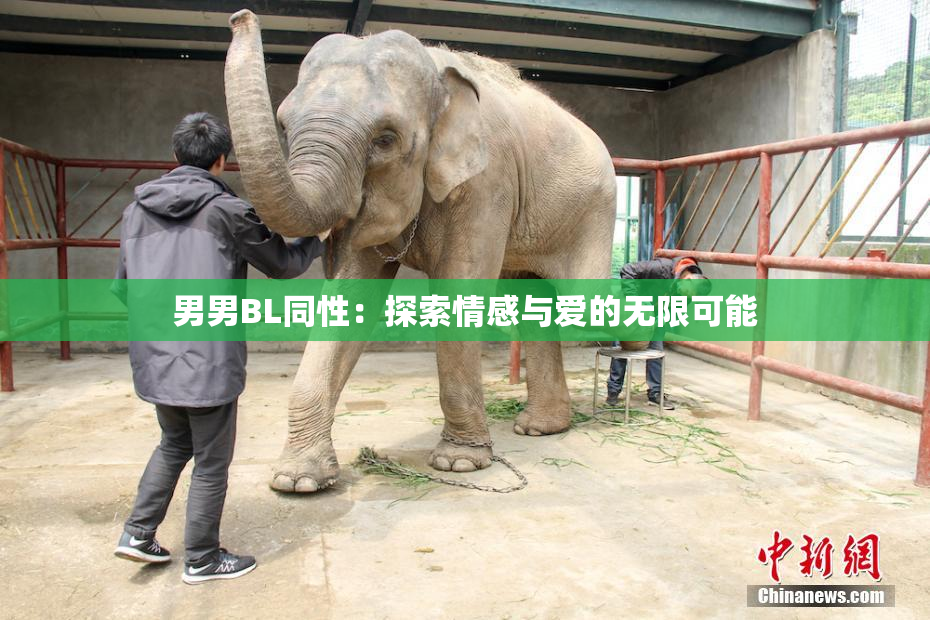 男男BL同性：探索情感与爱的无限可能