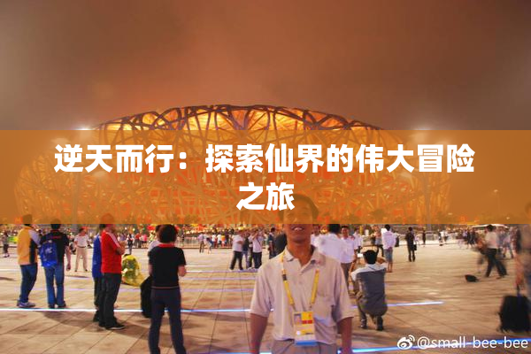 逆天而行：探索仙界的伟大冒险之旅