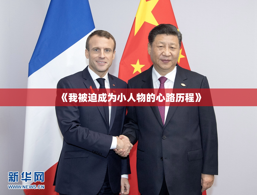 《我被迫成为小人物的心路历程》