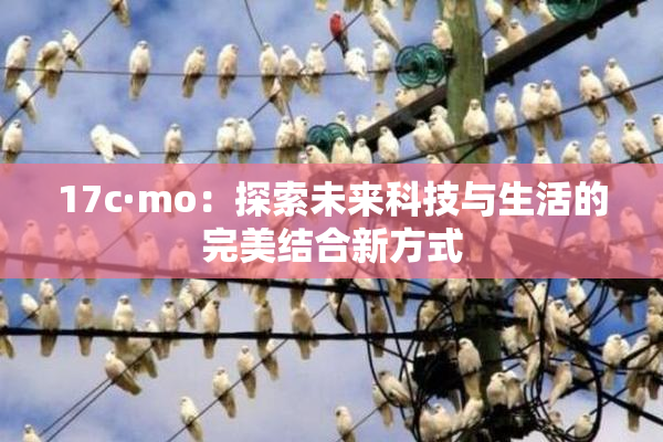 17c·mo：探索未来科技与生活的完美结合新方式