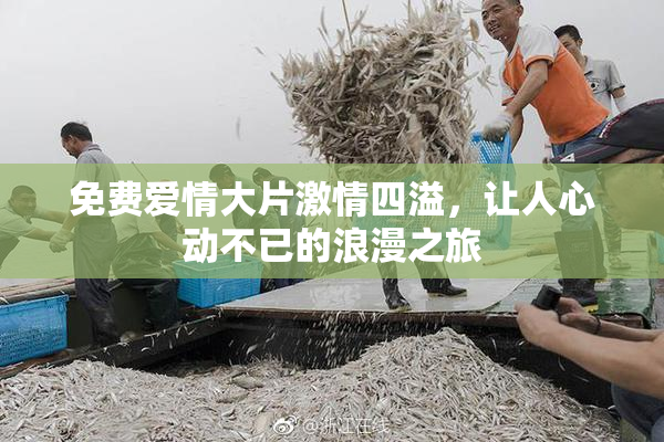 免费爱情大片激情四溢，让人心动不已的浪漫之旅