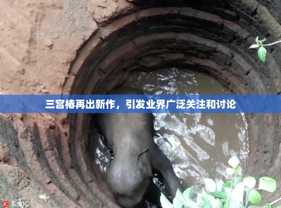 三宫椿再出新作，引发业界广泛关注和讨论